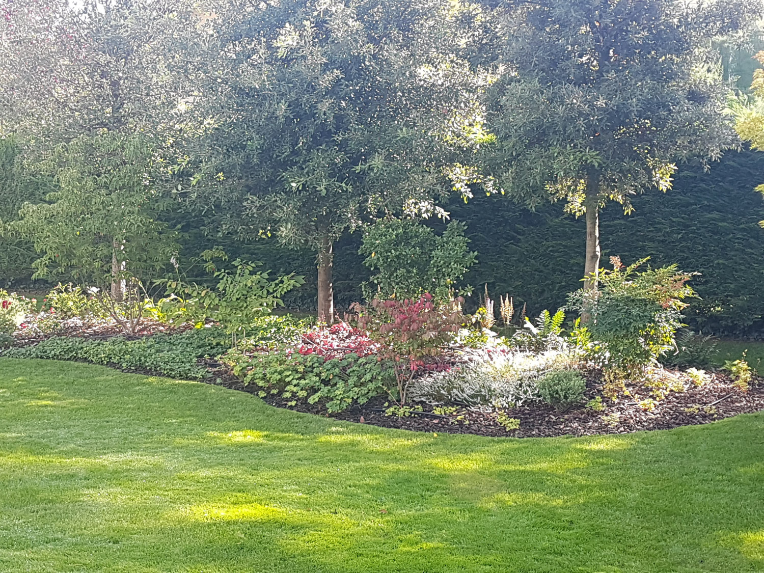RivieraPaysage jardins 2
